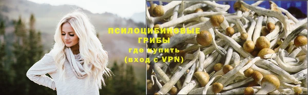 синтетический гашиш Абинск