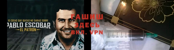 сатива Абаза